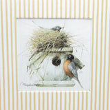 Marjolein Bastin robins building nest on birdhouse