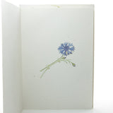 Blue cornflower inside greeting card
