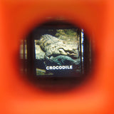 Crocodile slide from Fisher-Price Pocket Camera viewer