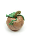 Miniature pumpkin with green leaves and vines