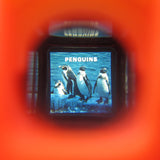 Penguins slide from Fisher-Price Pocket Camera viewer