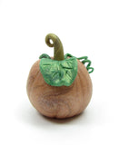 Miniature fall pumpkin with green leaves and curly stem