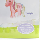 Sunbeam My Little Pony with brush, ribbon and poster