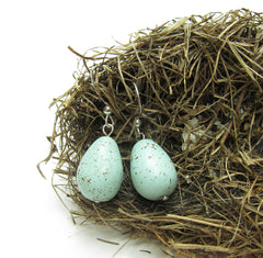 Robin's egg earrings on sterling silver ear wires