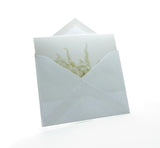 Each blank owl greeting card comes with an envelope.