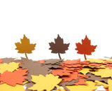 Maple Leaf Confetti Autumn Leaf Paper Punches