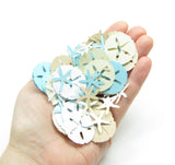 Sand Dollar & Starfish Confetti - Sand & Sea