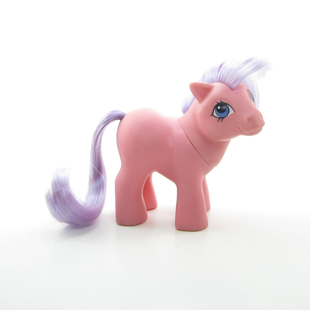 Puple Pony Baby Ponies Pictures