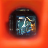 Geese slide from Fisher-Price Pocket Camera viewer