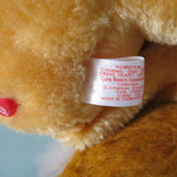 Brave Heart Lion Care Bears Cousins plush toy