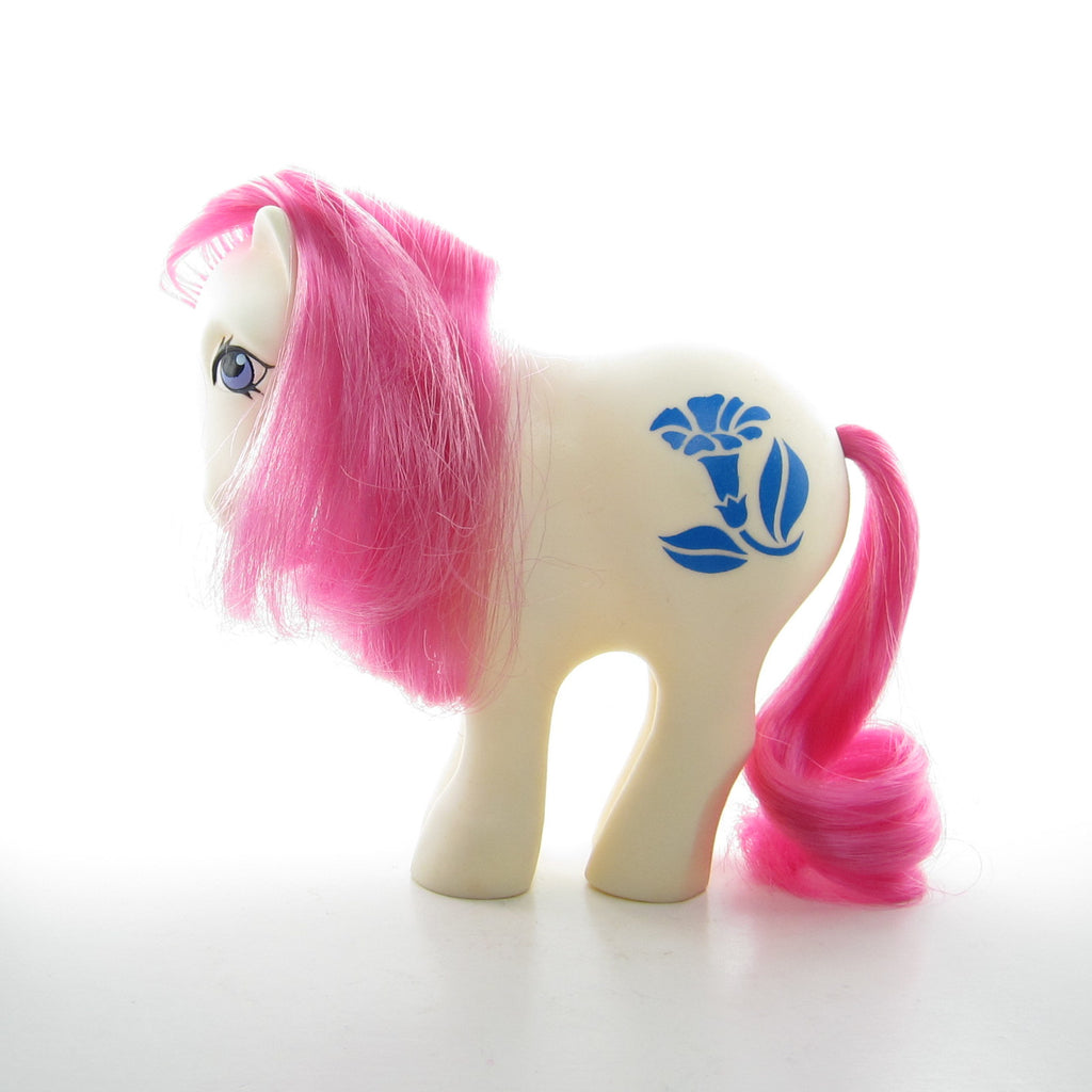 September Morning Glory Birthflower Ponies Vintage G1 Mail Order My Little Pony