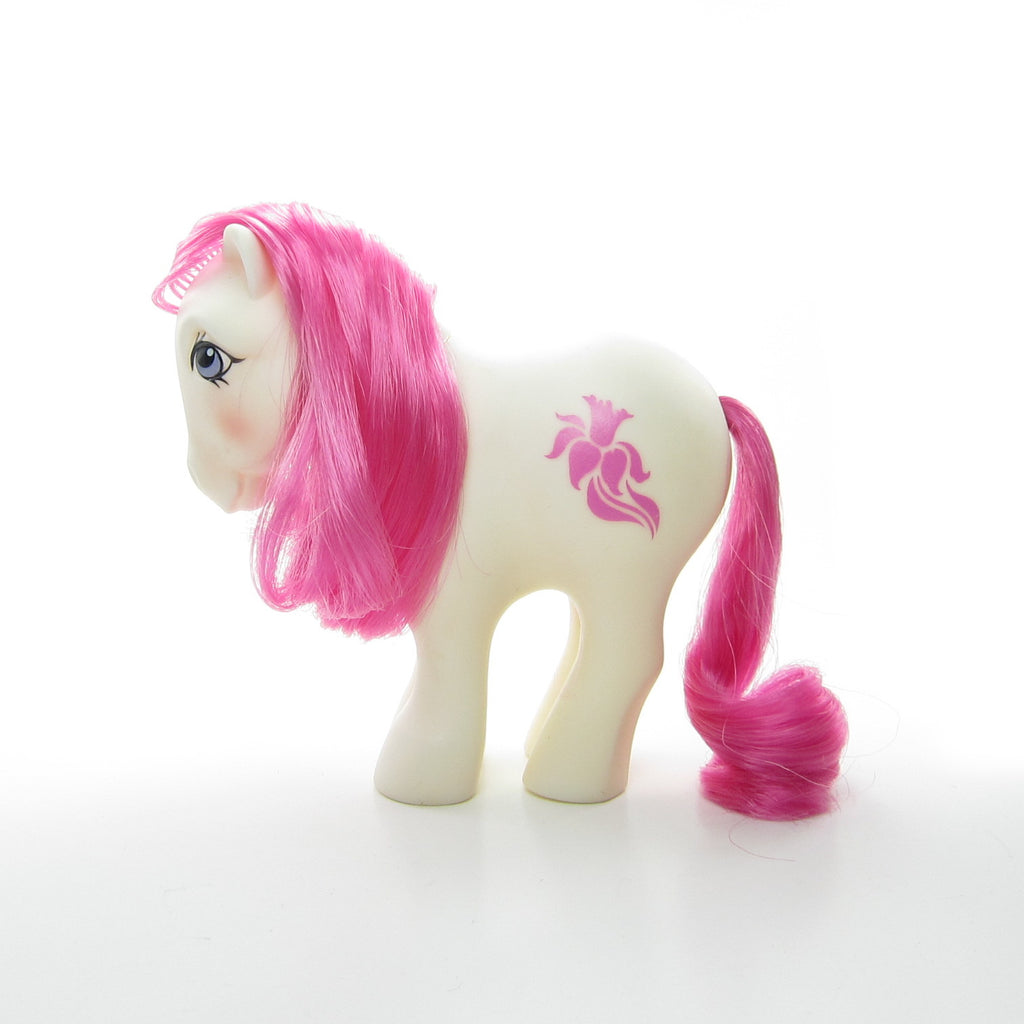 March Daffodil Birthflower Ponies Vintage G1 Mail Order My Little Pony