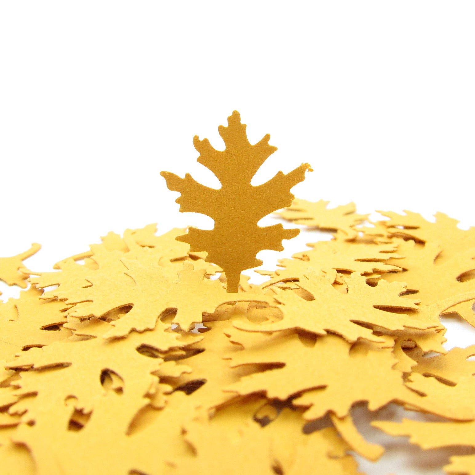 Large oak leaf paper punches or confetti