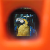Parrot slide from Fisher-Price Pocket Camera viewer
