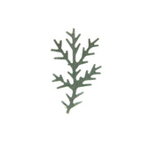 Sage green pine bough paper punches