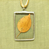 Pressed Yellow Leaf in Soldered Glass Pendant