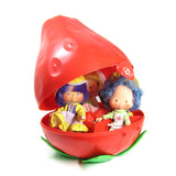 Strawberry Shortcake Carry Case with compartments for dolls