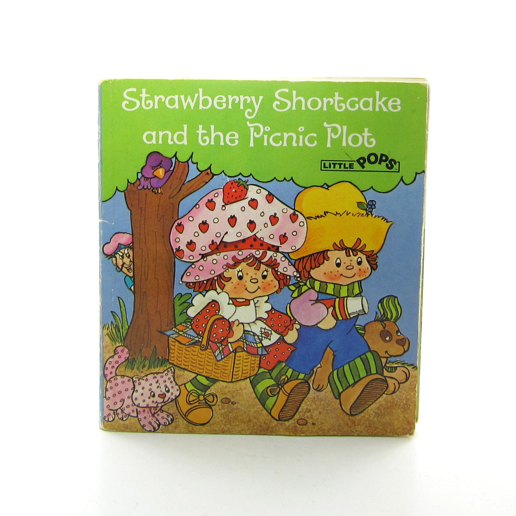 Strawberry Shortcake and the Picnic Plot Little Pops Book