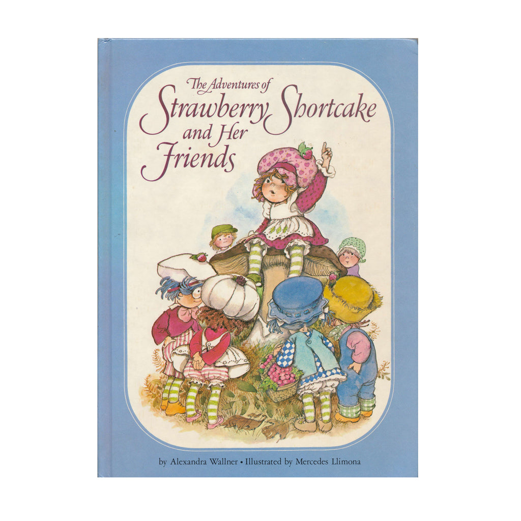 The Adventures of Strawberry Shortcake and Her Friends Book