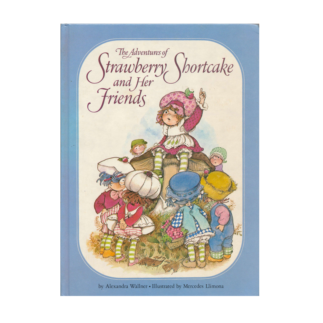 The Adventures Of Strawberry Shortcake And Her Friends