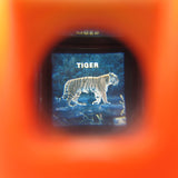 Tiger slide from Fisher-Price Pocket Camera viewer