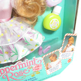 Lemon Kiss Lily Peppermint Rose doll box with wear