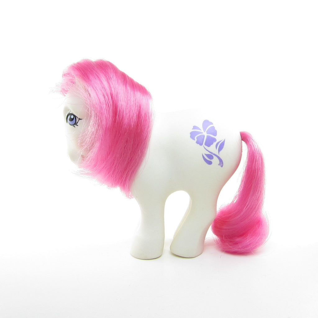 February Violet Birthflower Ponies Vintage G1 Mail Order My Little Pony