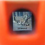 Zebra slide from Fisher-Price Pocket Camera viewer
